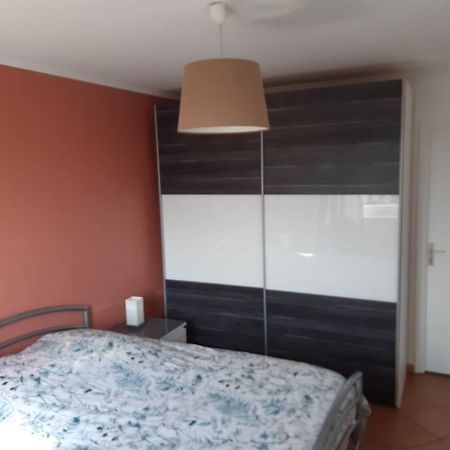 Logement Ideal Pour Un Sejour Alsacien En Amoureux كولمار المظهر الخارجي الصورة