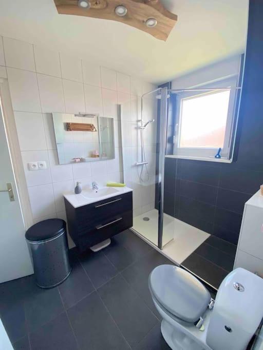 Logement Ideal Pour Un Sejour Alsacien En Amoureux كولمار المظهر الخارجي الصورة